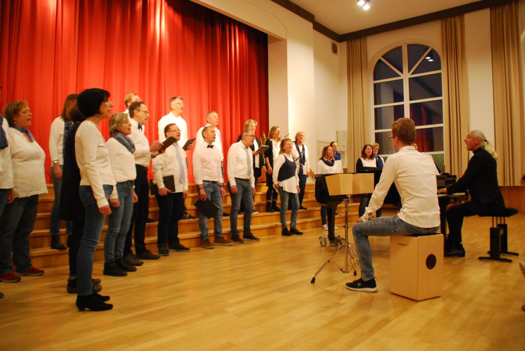 Doppelpack. Konzert unCHOrrekt und Voicetoys. Hier: Voicetoys. (Foro: Steffi)